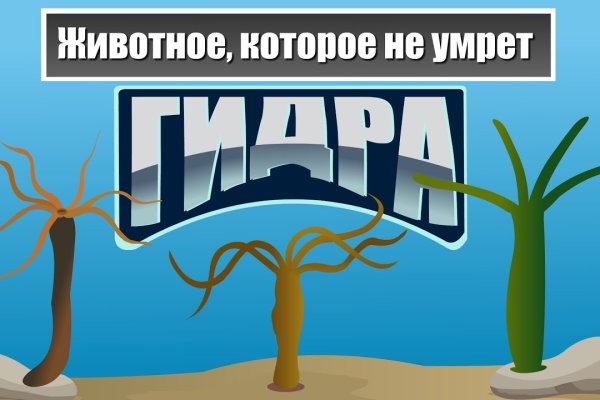 Войти на кракен